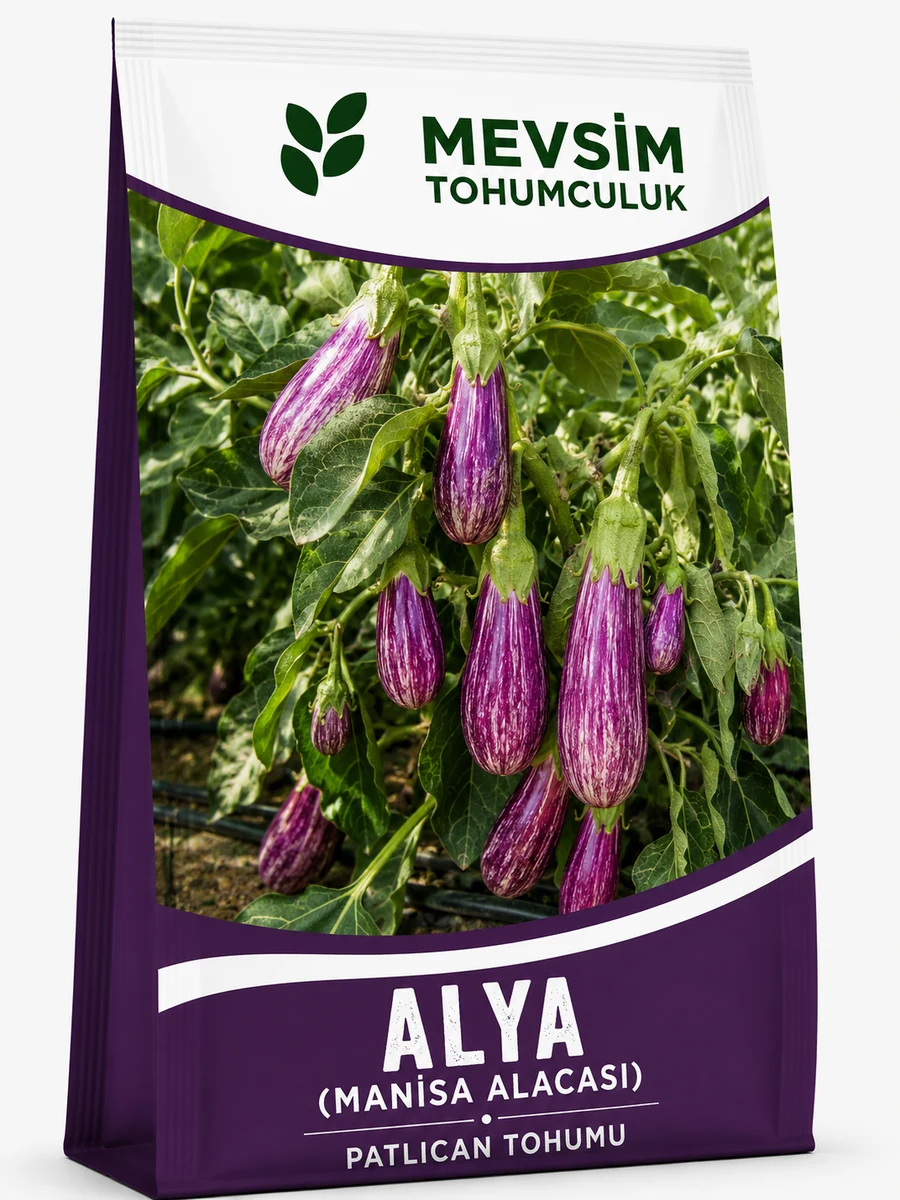 Alya (Manisa Alacası) tohumu