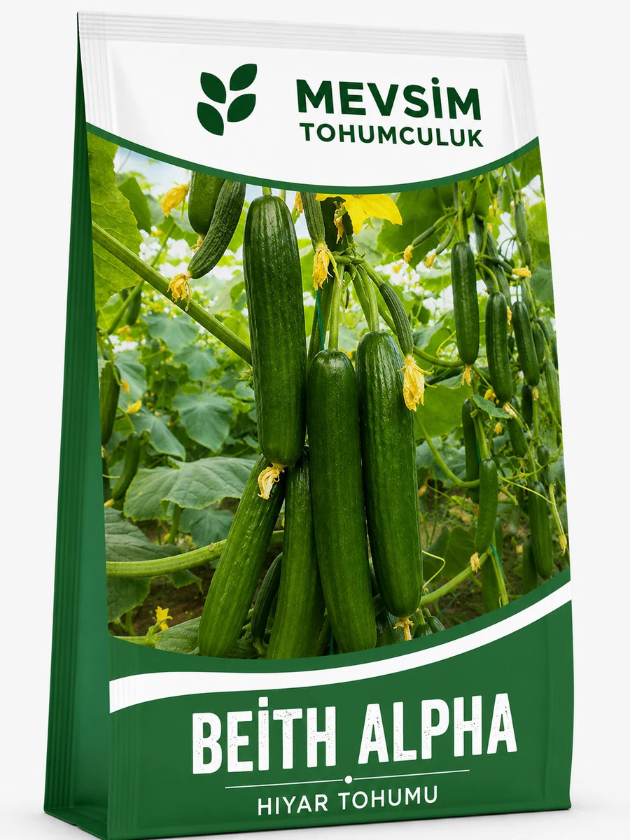 Beith Alpha tohumu