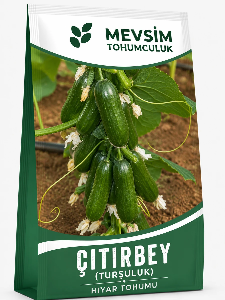 Çıtırbey (Turşuluk)