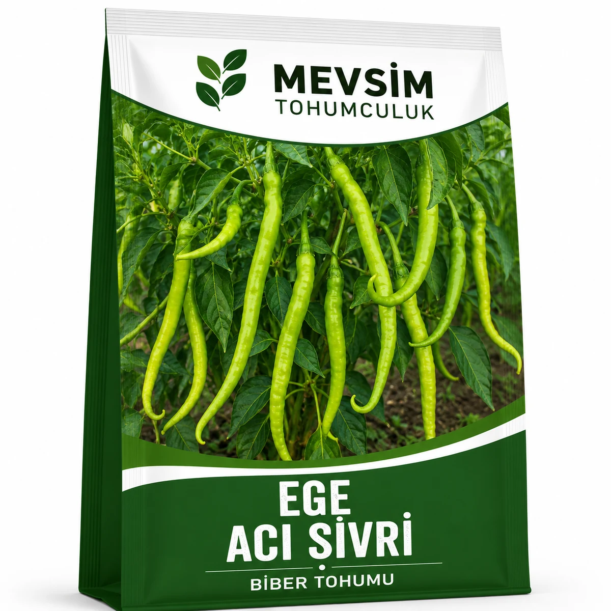 Ege Acı Sivri tohumu