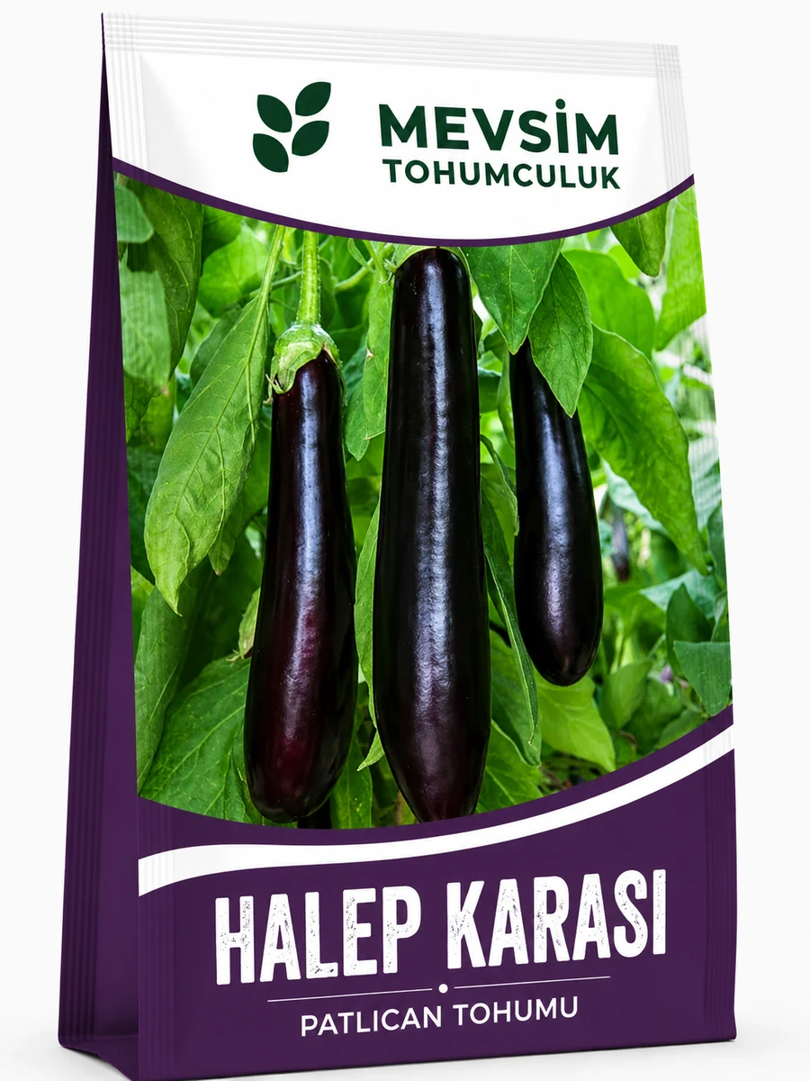 Halep Karası tohumu