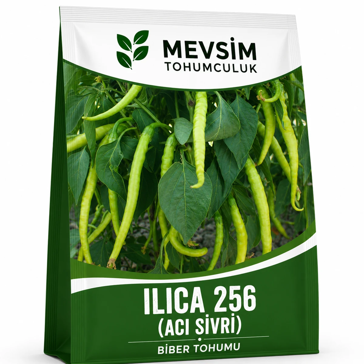 Ilıca 256 (Acı Sivri) tohumu