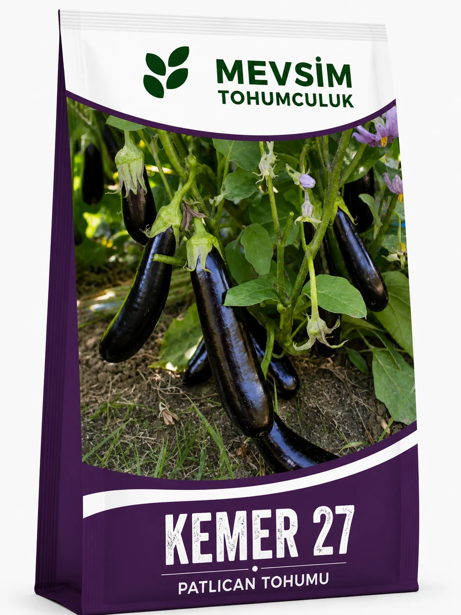 Kemer 27 tohumu