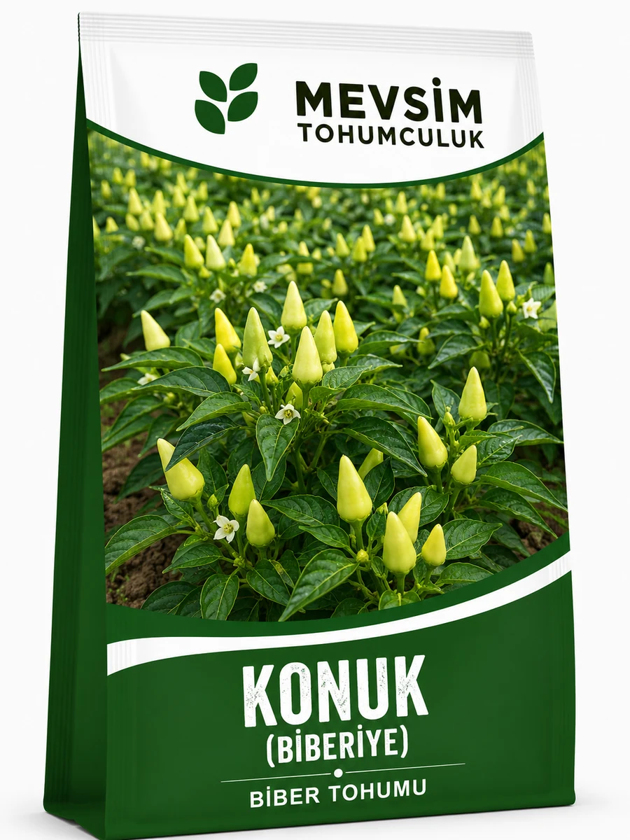 Konuk (Biberiye) tohumu