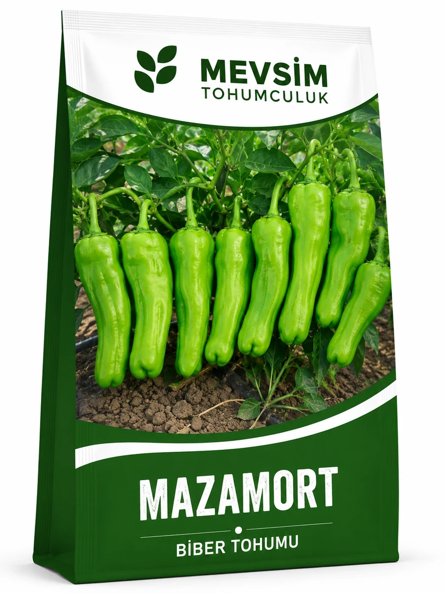Mazamort tohumu