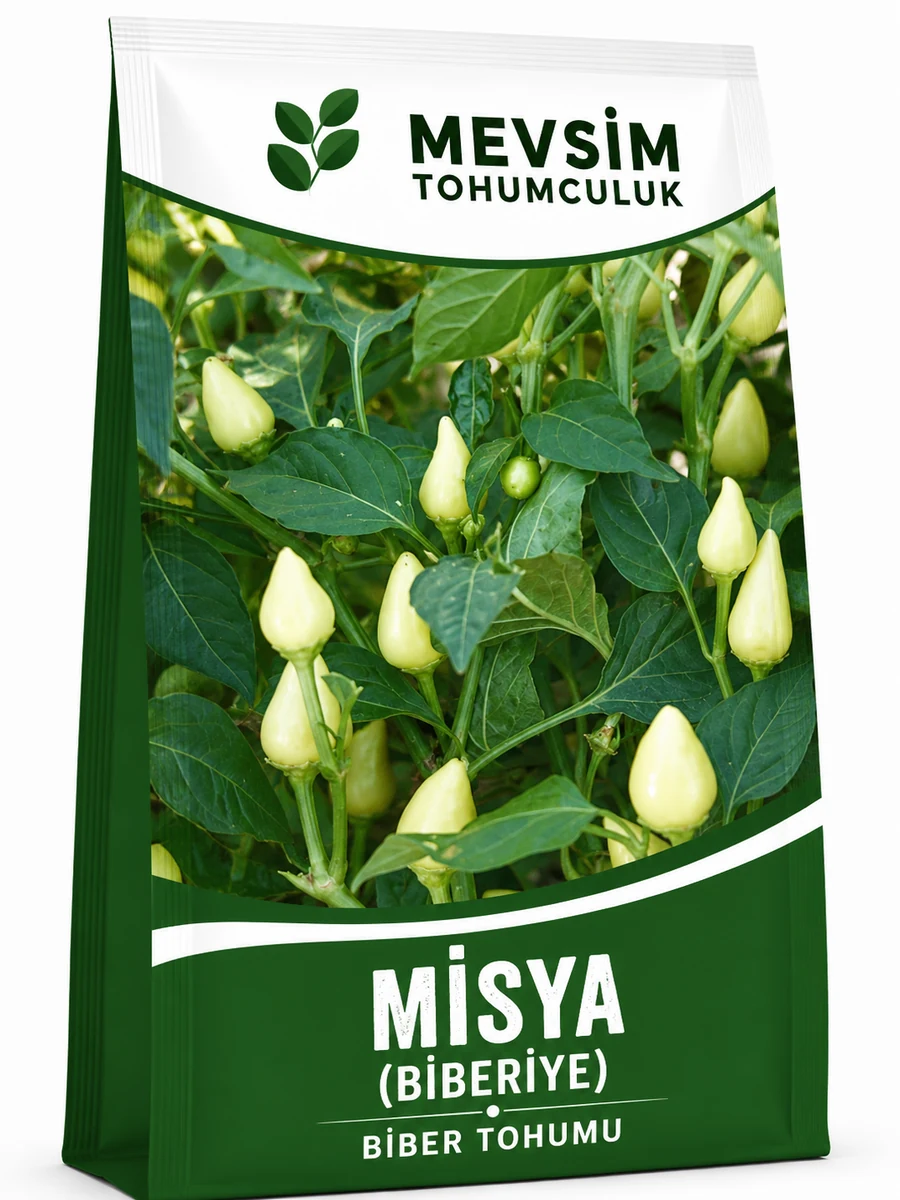 Misya (Biberiye) tohumu