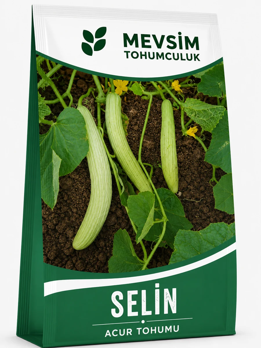 Selin tohumu