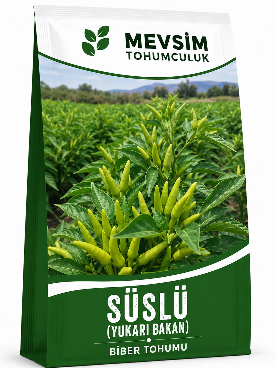Süslü (Yukarı Bakan) tohumu