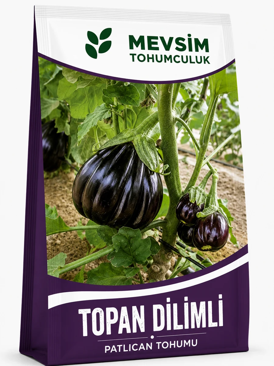 Topan Dilimli