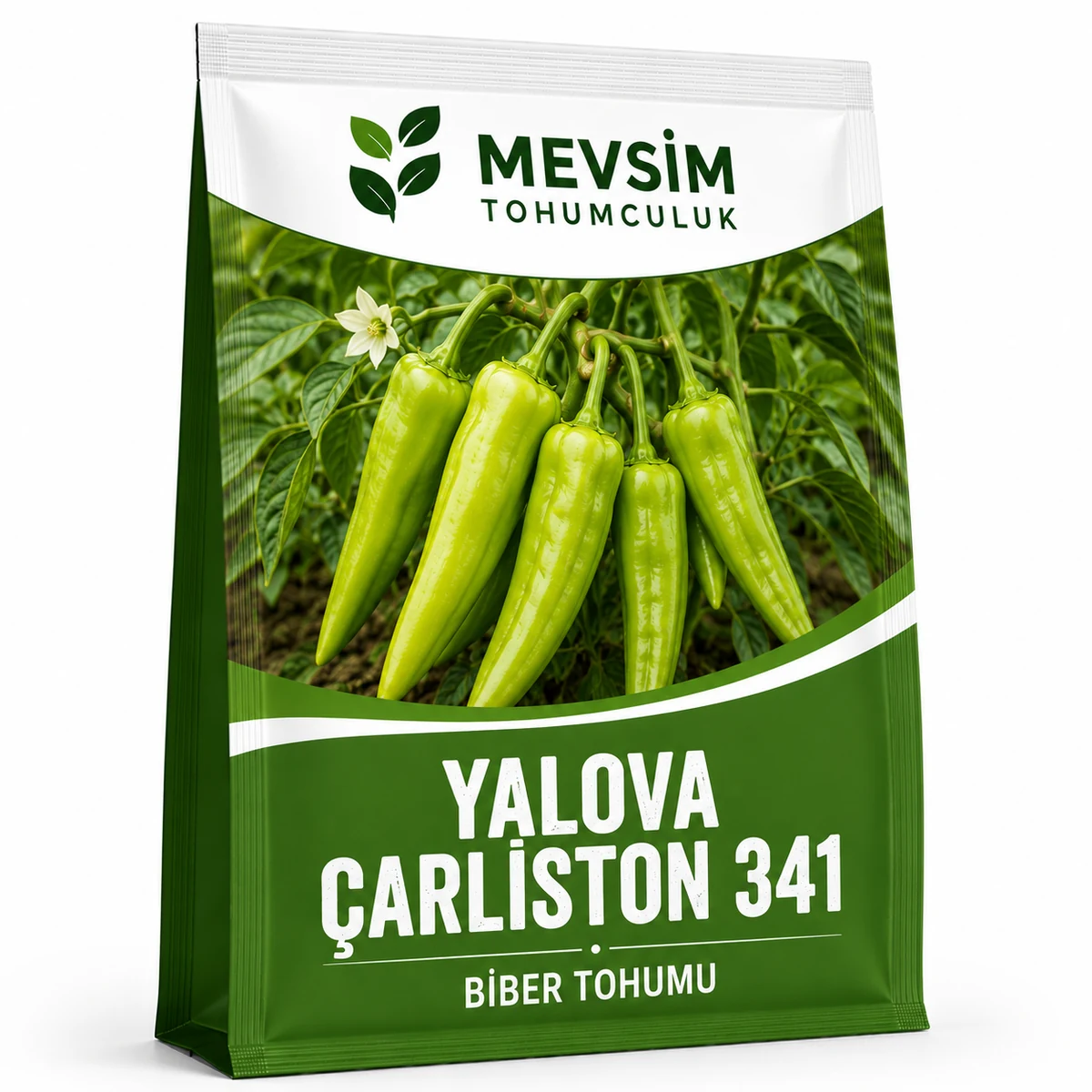 Yalova Çarliston 341 tohumu