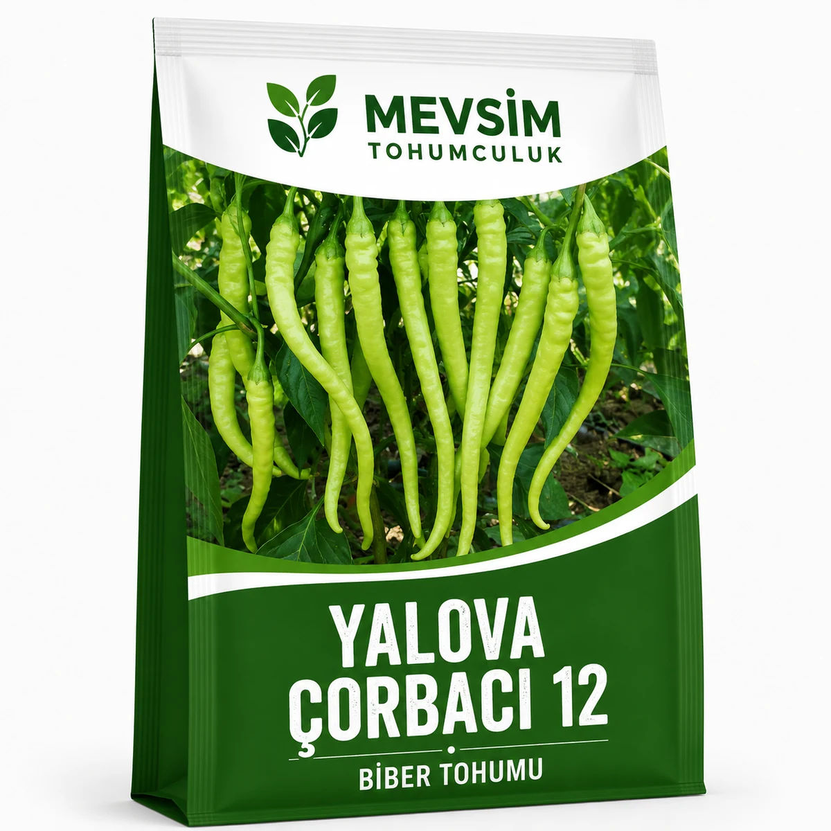 Yalova Çorbacı 12 tohumu