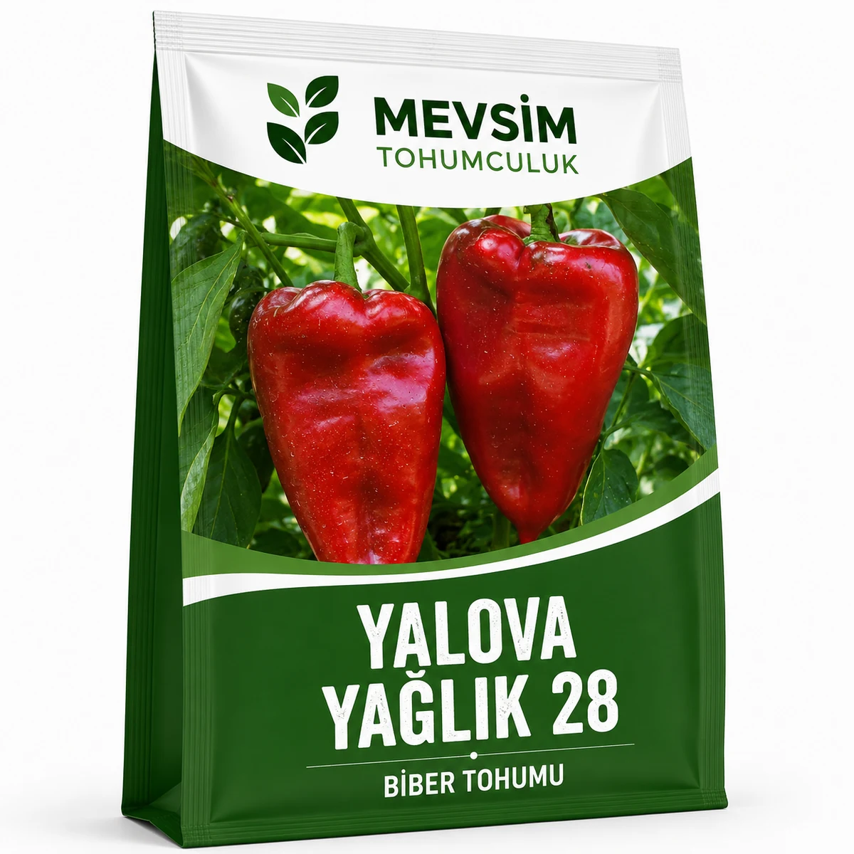 Yalova Yağlık 28 tohumu